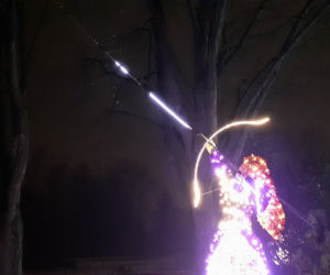 Lumina Park w Ogrodzie Botanicznym UMCS w Lublinie
