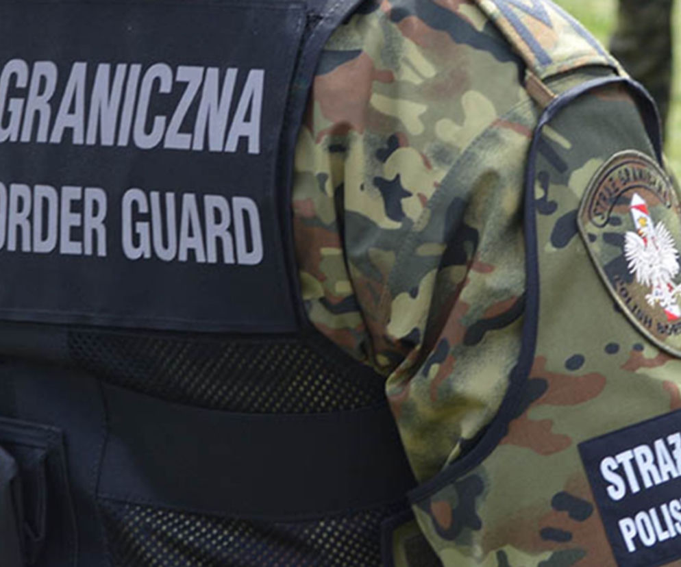 Dolnośląskie. Strażnicy graniczni zatrzymali 22 nielegalnych imigrantów