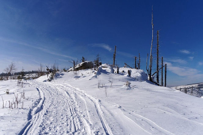 Magurka Radziechowska na zdjęciach