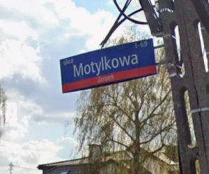 Oto najbardziej wiosenne ulice w stolicy! Tu wiosna trwa cały rok!