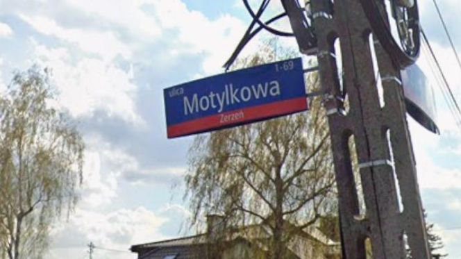 Oto najbardziej "wiosenne" ulice w stolicy! Tu wiosna trwa cały rok!