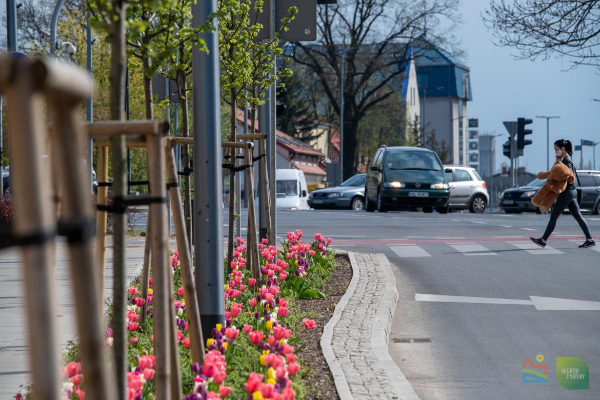 Olsztyn w wiosennym wydaniu. W mieście jest coraz piękniej