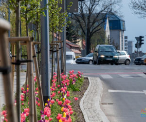Olsztyn w wiosennym wydaniu. W mieście jest coraz piękniej