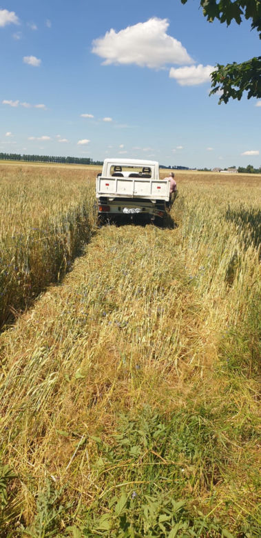 Zderzenie czterech aut na DK 25 w Busewie! Jedna osoba poszkodowana [ZDJĘCIA] 