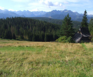 To jedna z najpiękniejszych wsi w Małopolsce. Jest ozdobą Tatr, a jej historia wiąże się z Neapolem