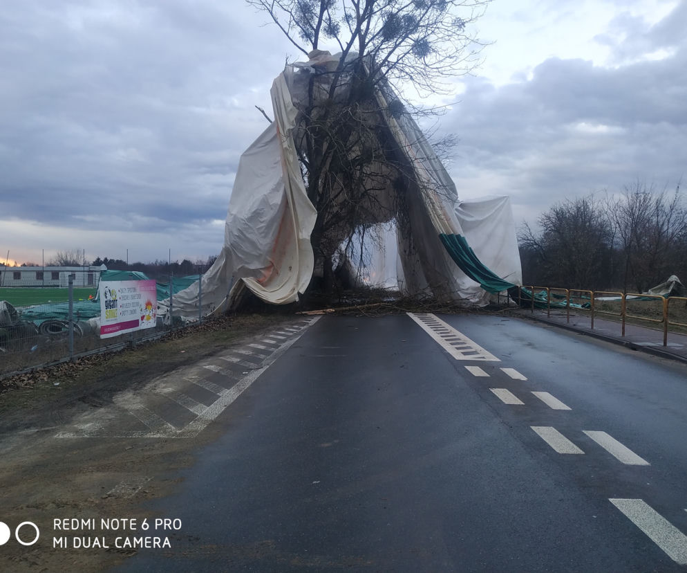 Silny wiatr zerwał konstrukcję namiotu