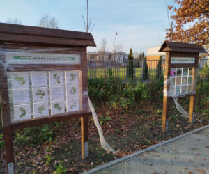 Park kieszonkowy Siedlce, ul. Traugutta