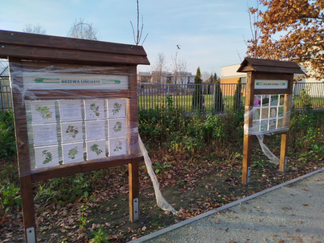 Park kieszonkowy Siedlce, ul. Traugutta