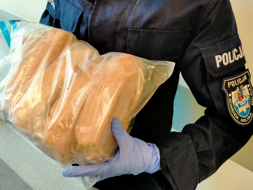 32 kilogramy narkotyków znaleźli policjanci z Torunia. 52-latek za kratami