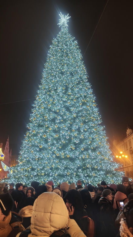 Największa choinka we Wrocławiu już rozświetlona! Tłumy powitały Świętego Mikołaja 