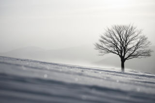 Polski narciarz zmarł we Włoszech. Czy okoliczności są już jasne?