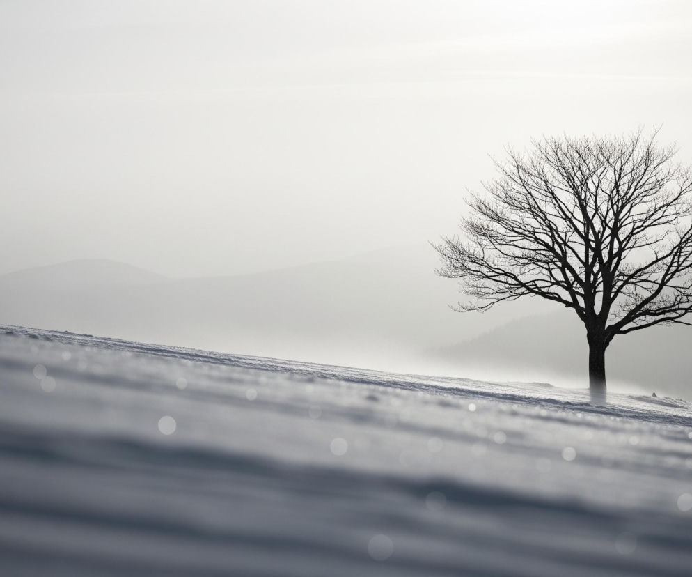 Samotne, bezlistne drzewo o ciemnych, rozłożystych gałęziach dominuje na tle jasnego, szarego nieba, lekko przesunięte w prawo od centrum. Stoi ono na pofałdowanym, zaśnieżonym pagórku, którego powierzchnia jest pokryta warstwą białego, świecącego śniegu z widocznymi błyskami światła. W tle, za drzewem, widać niewyraźne, ciemne sylwetki odległych wzgórz, które stopniowo zlewają się z mglistym horyzontem. Całość utrzymana jest w chłodnych odcieniach szarości i bieli, tworząc spokojny, zimowy krajobraz.