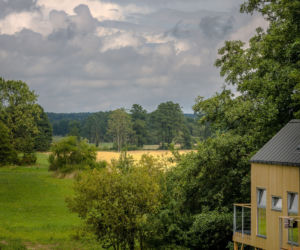 Siedlisko Sobibór - domki w gałęziach drzew
