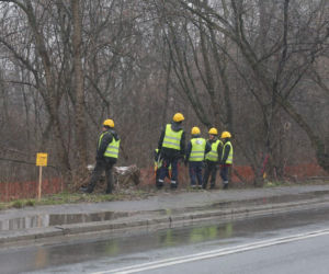 Wycinka drzew wzdłuż Wybrzeża Helskiego