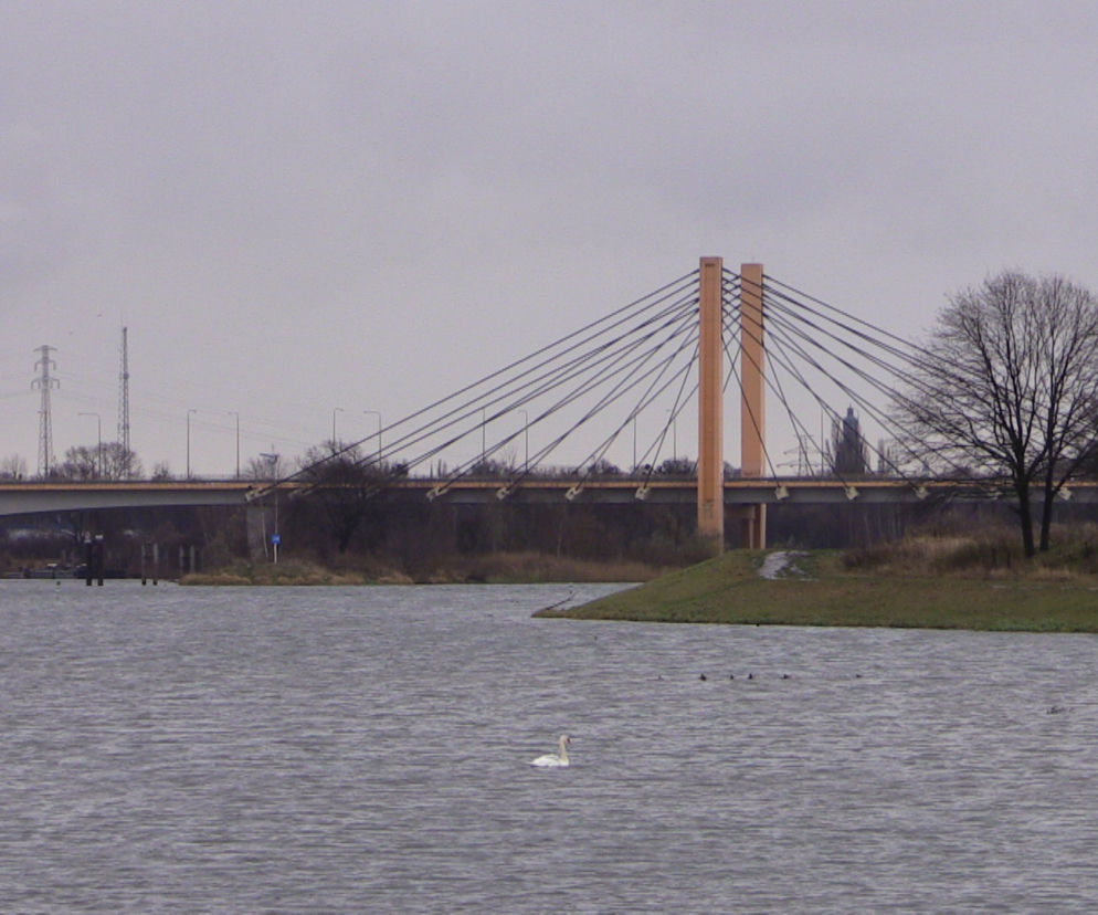 NIK ostrzega, że Wrocław nie jest przygotowany na ewentualną powódź