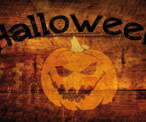 Halloween w Sports Factory