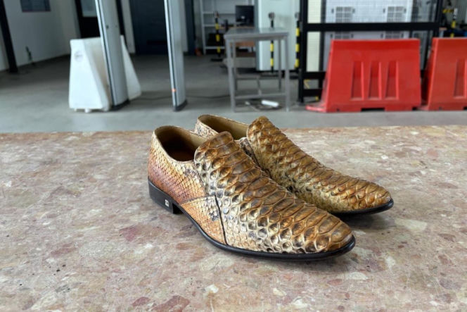 Torebka z pytona i buty z krokodyla. Udaremniony przemyt na granicy