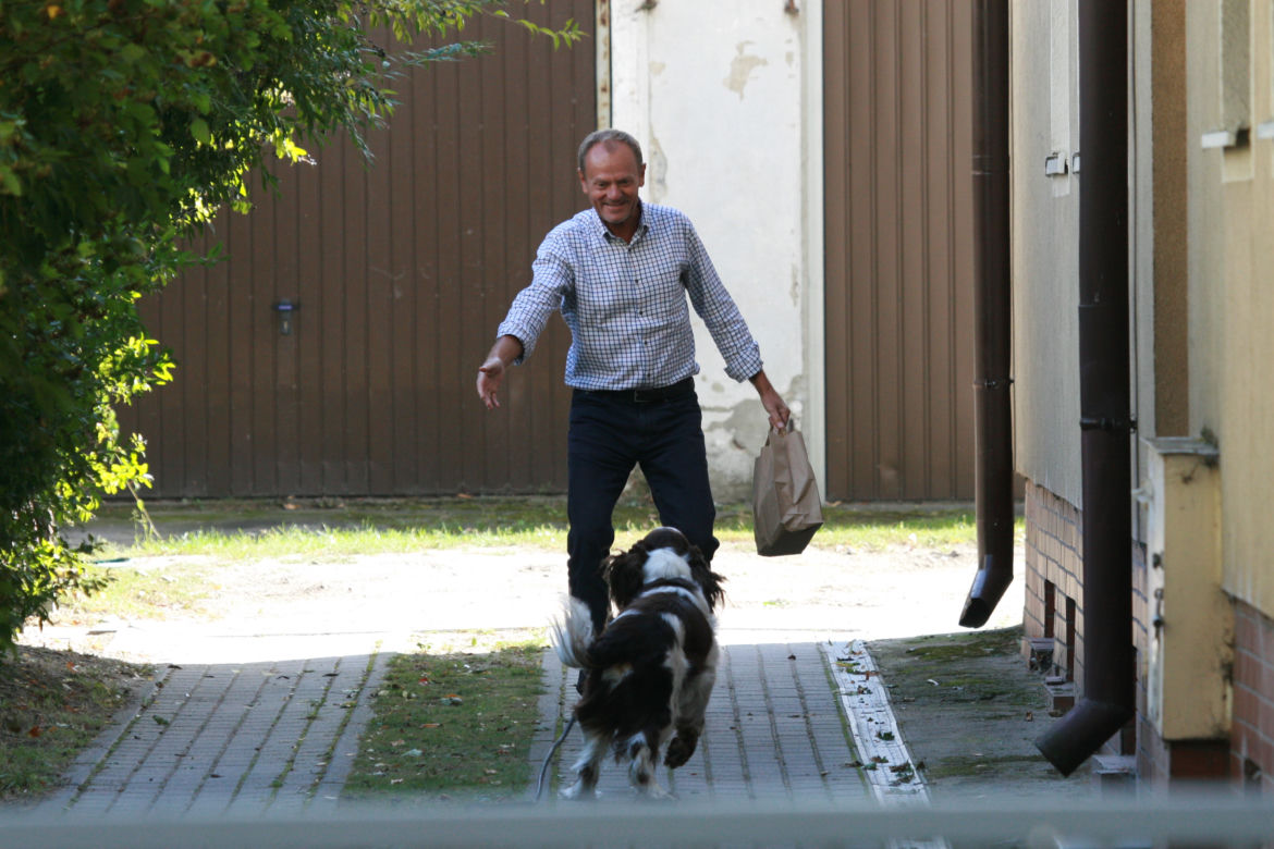 Tusk sprząta po psie