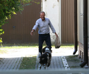 Tusk sprząta po psie
