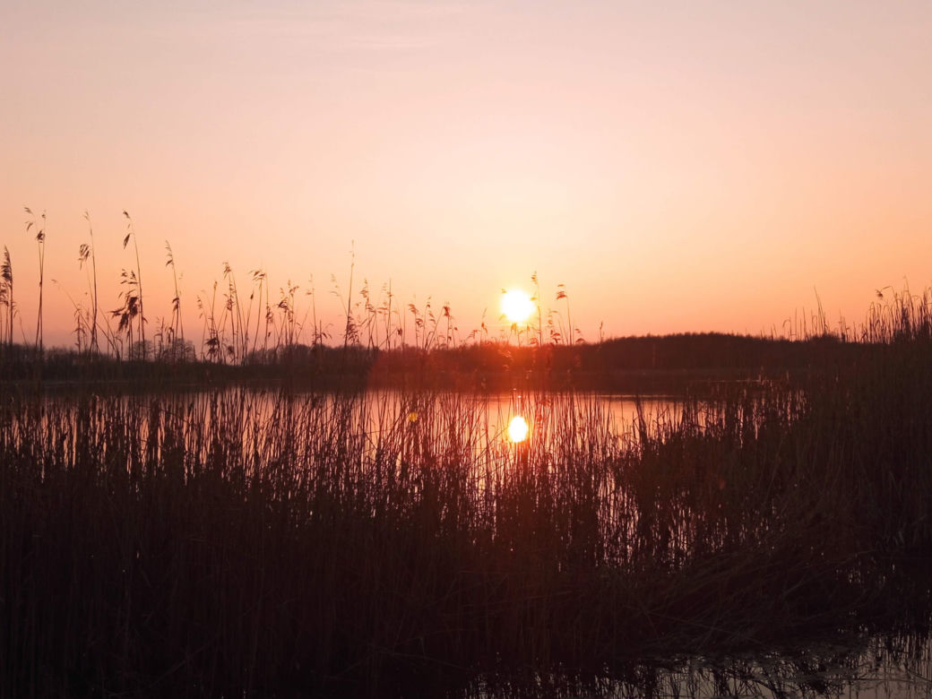 Wyschnięte jezioro w Skrzatuszu pod Piłą