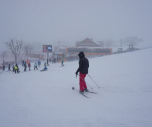 Zieleniec
