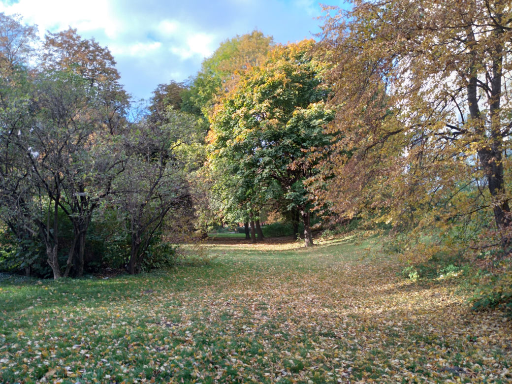 Park Skaryszewski