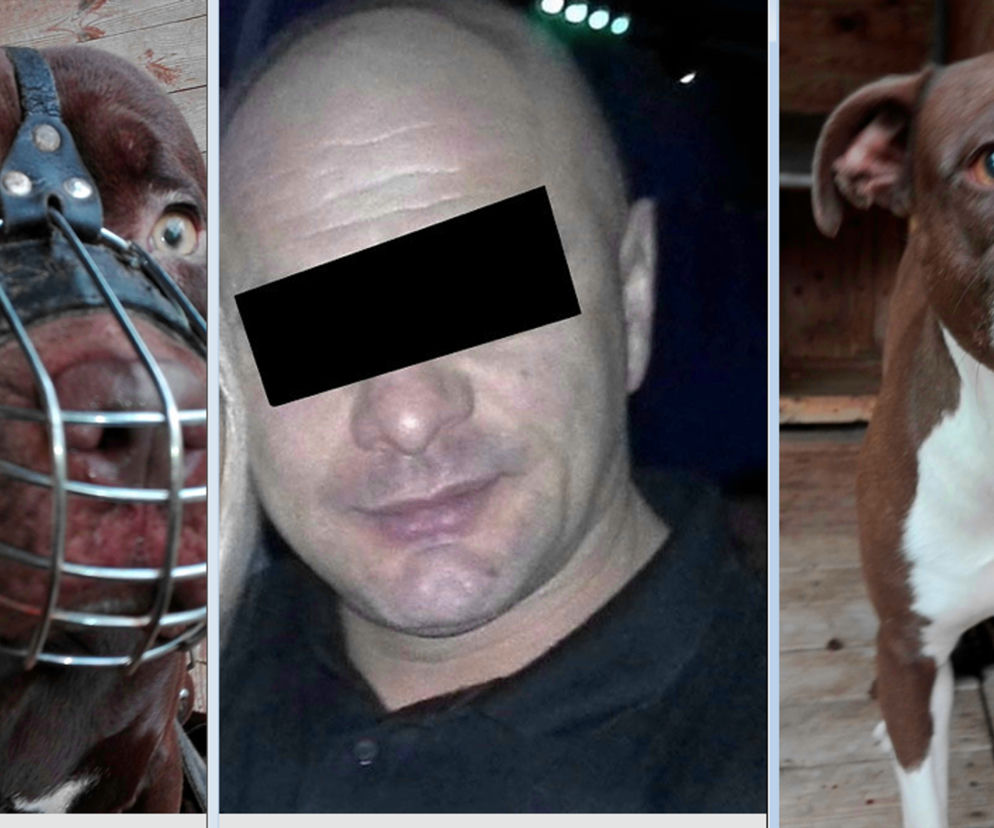właściciel bestii które zagryzły Kamilka wielokrotnie karany