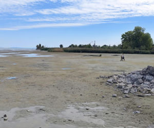 Balaton wysycha i zamienia się w kałużę. Potężne jezioro odsłoniło dno