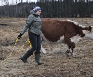 Rolnicy. Podlasie. Emilia Korolczuk