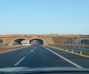 Nowy odcinek trasy S8 na Podlasiu