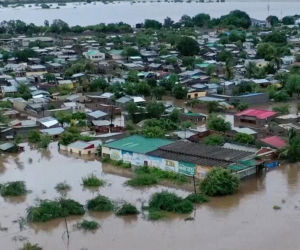 Krokodyle i hipopotamy na ulicach! Władze ostrzegają