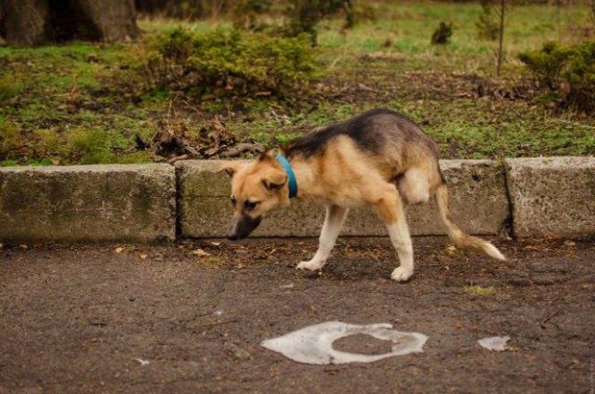 Teraz mogę jeździć na spacer