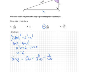 Matura 2026: matematyka. Odpowiedzi z matematyki 5.05.2026