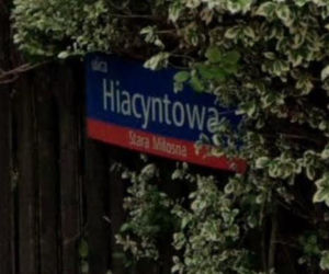 Oto najbardziej wiosenne ulice w stolicy! Tu wiosna trwa cały rok!