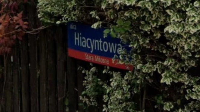 Oto najbardziej "wiosenne" ulice w stolicy! Tu wiosna trwa cały rok!