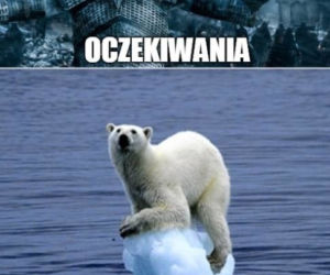 Sezon na MORSOWANIE otwarty! Zobacz najlepsze MEMY!