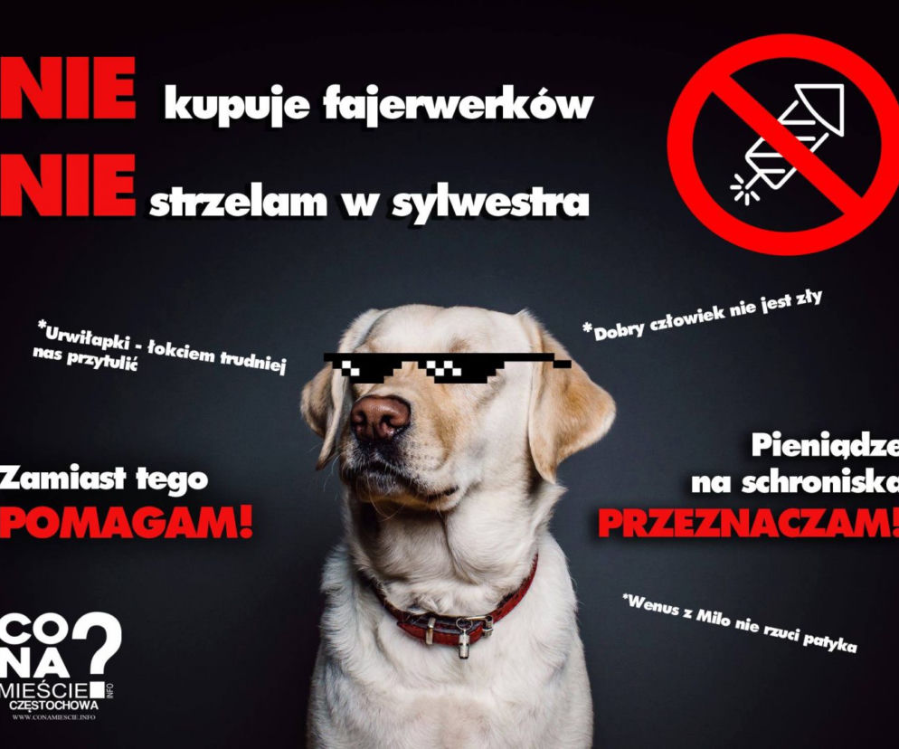 Bielsko-Biała: ostatni taki pokaz fajerwerków. Mieszkańcy już ich nie chcą