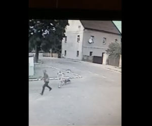 Pies RZUCIŁ SIĘ na młodą kobietę. PRZERAŻAJĄCE wideo [ZOBACZ]