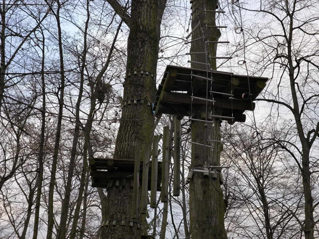 Park Linowy Tarzan w Lesznie
