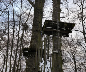 Park Linowy Tarzan w Lesznie