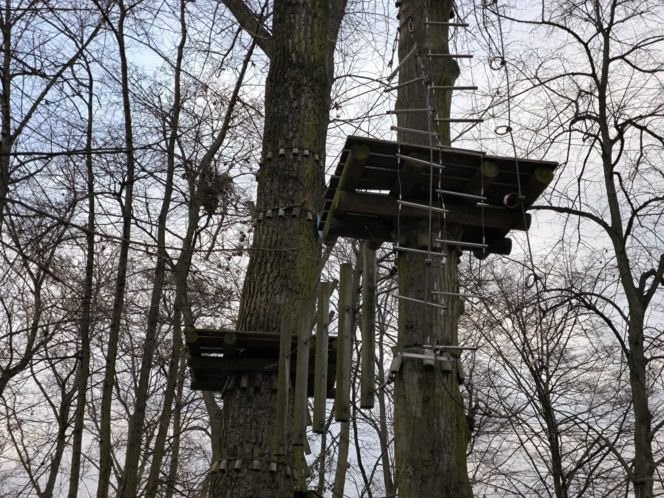 Park Linowy Tarzan w Lesznie