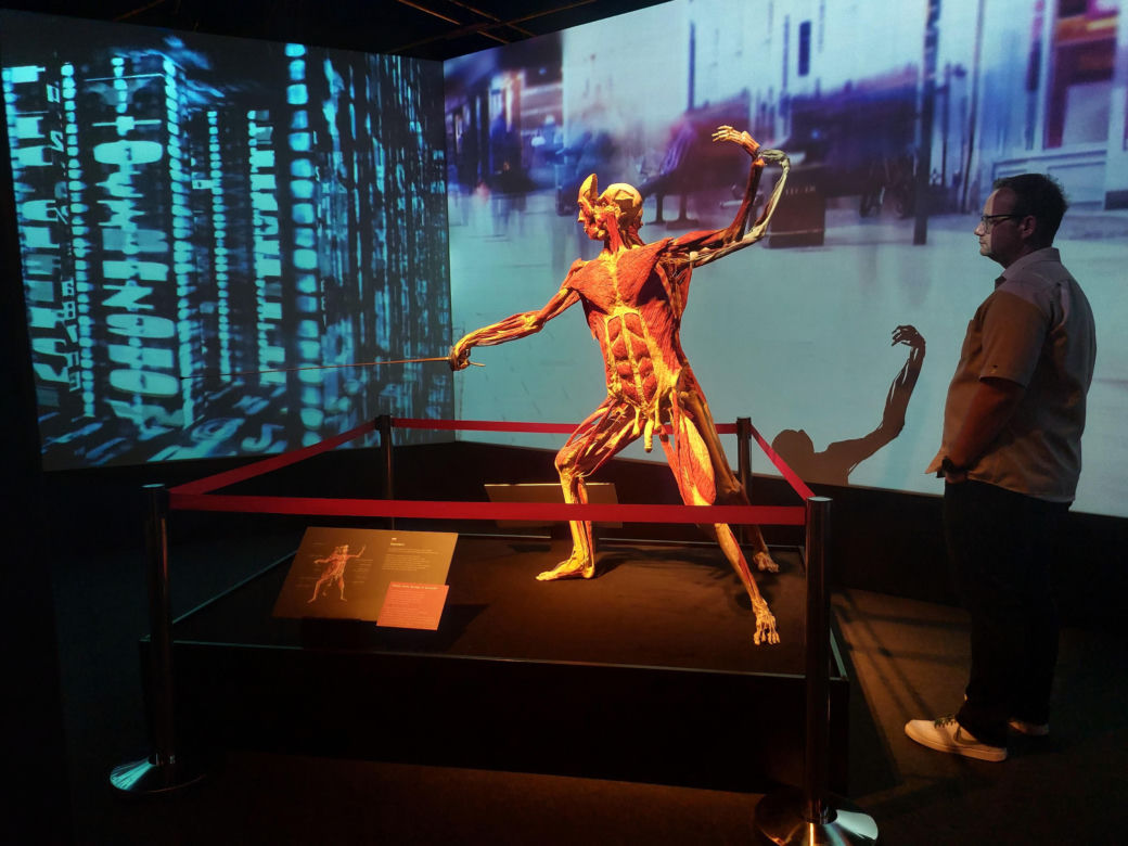 Wystawa Body Worlds w Szybie Wilson w Katowicach