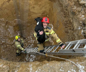 Piesek wpadł do głębokiego wykopu. Bohaterscy strażacy natychmiast ruszyli z pomocą