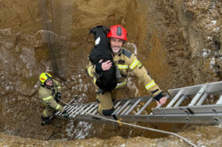 Piesek wpadł do głębokiego wykopu. Bohaterscy strażacy natychmiast ruszyli z pomocą