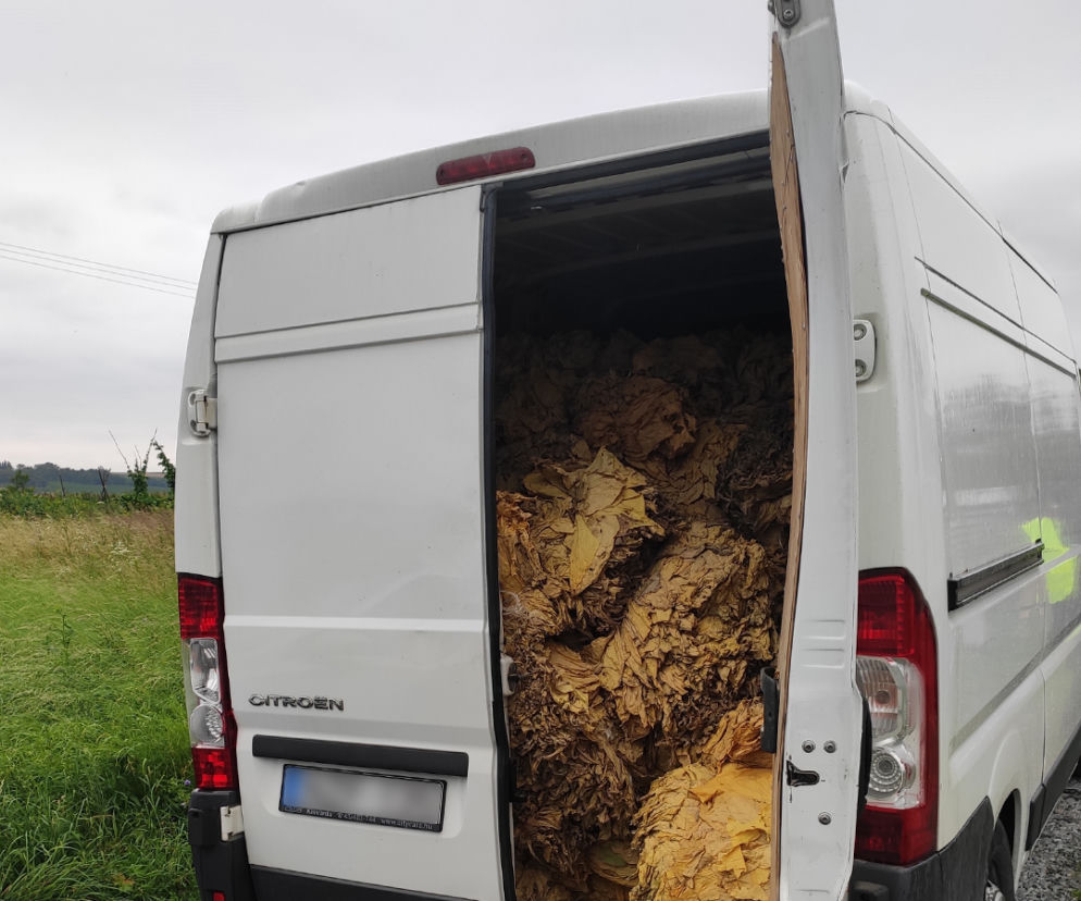 Przewoził nielegalny tytoń
