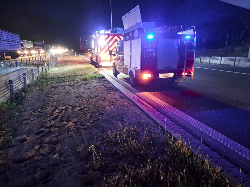 Kierowca uderzył w łosia na autostradzie i zginął! Tragiczny wypadek pod Toruniem [ZDJĘCIA]