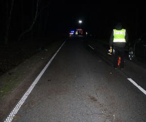 Koszmarny wypadek w Puszczy Miejskiej koło Rypina. Kierowca BMW zginął na miejscu