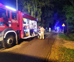 Romanowo: Uderzyli w drzewo, auto stanęło w ogniu! Zginęły cztery młode osoby