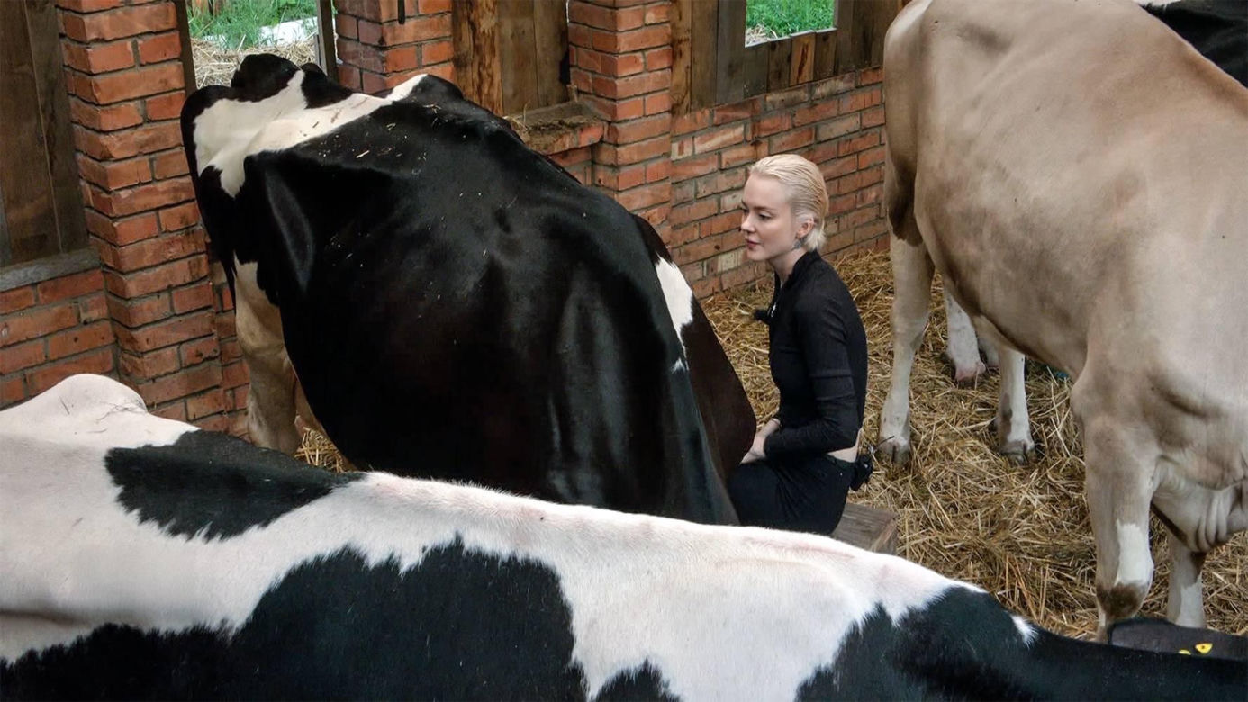 Farma 4: nikt nie ma już wątpliwości. To nowi faworyci do zwycięstwa
