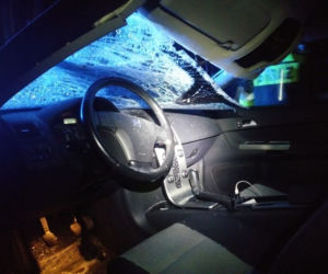 Wypadek na trasie Orzysz - Ełk: Rozpędzony łoś wskoczył na dach samochodu